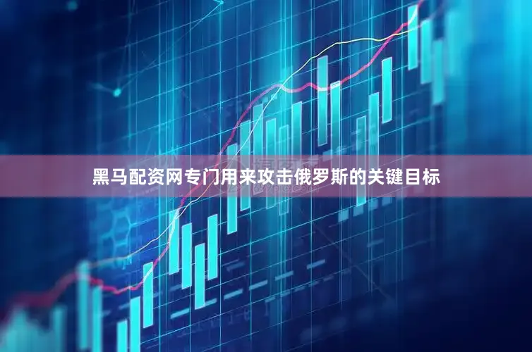 黑马配资网专门用来攻击俄罗斯的关键目标
