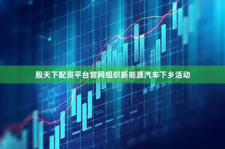 股天下配资平台官网组织新能源汽车下乡活动