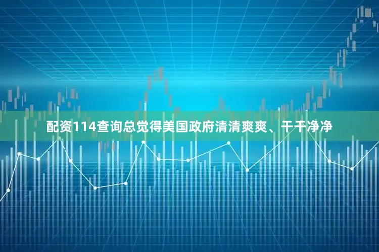 配资114查询总觉得美国政府清清爽爽、干干净净