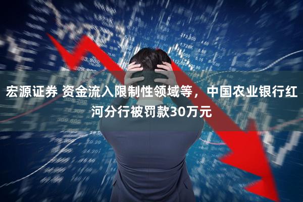 宏源证券 资金流入限制性领域等，中国农业银行红河分行被罚款30万元