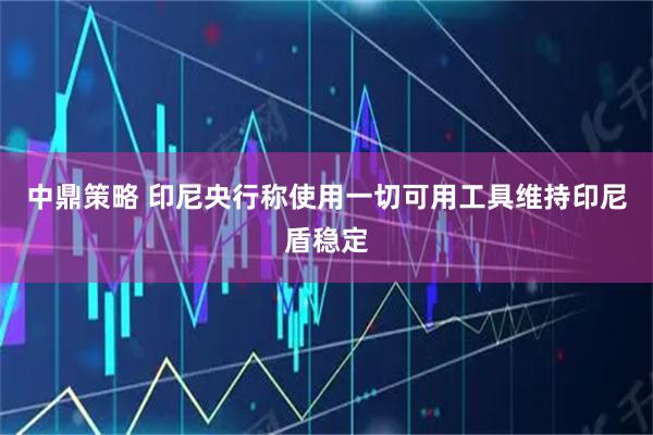 中鼎策略 印尼央行称使用一切可用工具维持印尼盾稳定