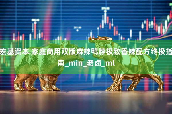 宏基资本 家庭商用双版麻辣鸭脖极致香辣配方终极指南_min_老卤_ml