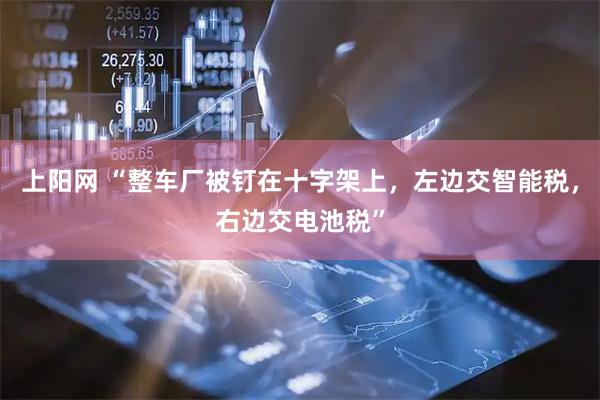上阳网 “整车厂被钉在十字架上，左边交智能税，右边交电池税”