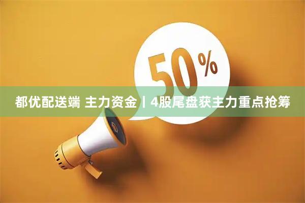 都优配送端 主力资金丨4股尾盘获主力重点抢筹