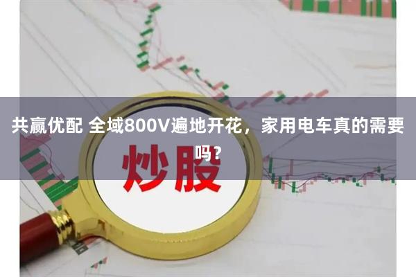 共赢优配 全域800V遍地开花，家用电车真的需要吗？
